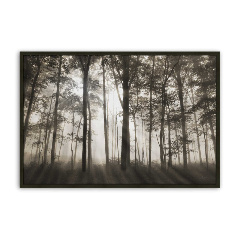 «Forest Illumination» par Lori Deiter, reproduction d'art, L 18 po x H 12 po, Noir, Framed Print