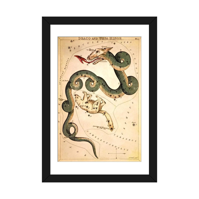 «Egon Schiele Draco and Ursa Minor» par Sidney Hall, impression sur toile, H 24 po x l 16 po x P 1 po, Blanc