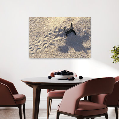 Young Sea Turtle Contemporary Art
