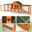 Small Animal Hutch