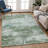 Machine Washable Indoor/Outdoor Jadiel ACN2362 Abstract Rug-812396040