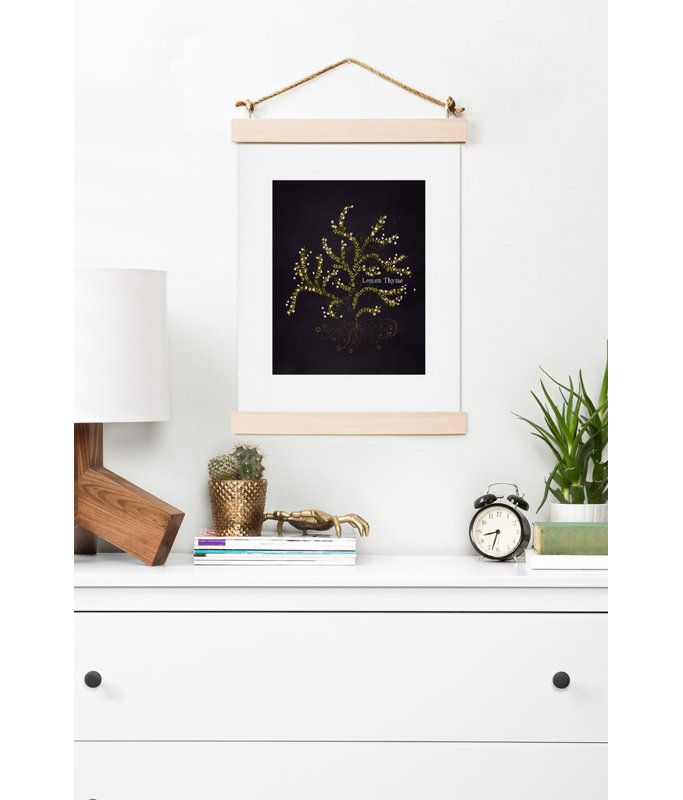 « herb jardin citron thyme », impression, H 14 po x l 11 po x P 0,13 po