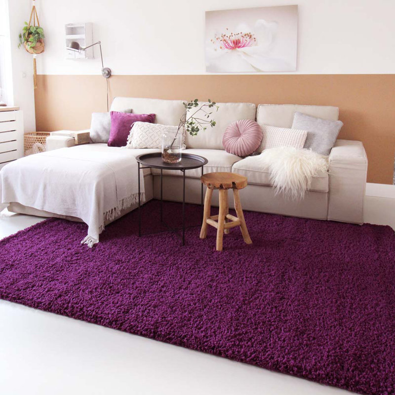 Aloysia Solid Colour Shag Area Rug, Rectangle 240 x 340cm