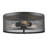 Alyria Steel Flush Mount-26707771-26707770