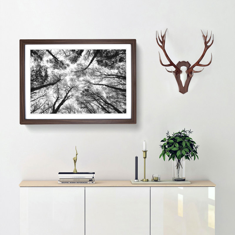 Vaulted Tree Branches - Picture Frame Painting Print, 45cm H x 63cm W x 2cm D, Walnut Framed