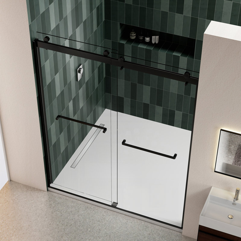 Bypass shower door, sliding door, Matte Black