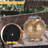 5.9'' Solar Powered Integrated LED Jar Lantern-101580279