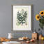 Collectionner Ferns VII Premium encadré mat - prêt à être accroché-1331941650-1331941658