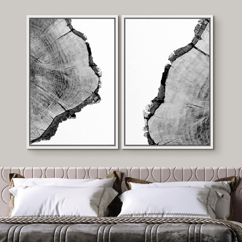 Noir et blanc, gros plan, anneau, détails de la nature sauvage, photographie, art moderne, rustique, multicolore, 2 pièces