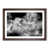 Walnut Framed selected