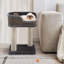 Toccoa Cat Perch-902831689