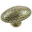 Oval Knob-353738743