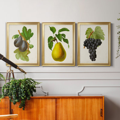 Antique Fruit VI - ensemble de 3 impressions sur toile encadrées