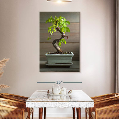 Bonsai Tree In A Pot