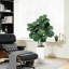 Plant-986871591