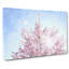 Pink Japanese Cherry Tree In Spring - Wrapped Canvas-56639189