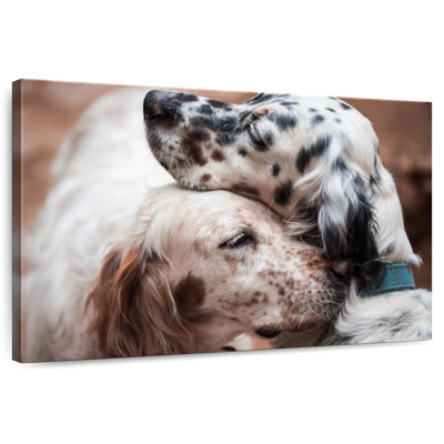 Cuddling English Setters