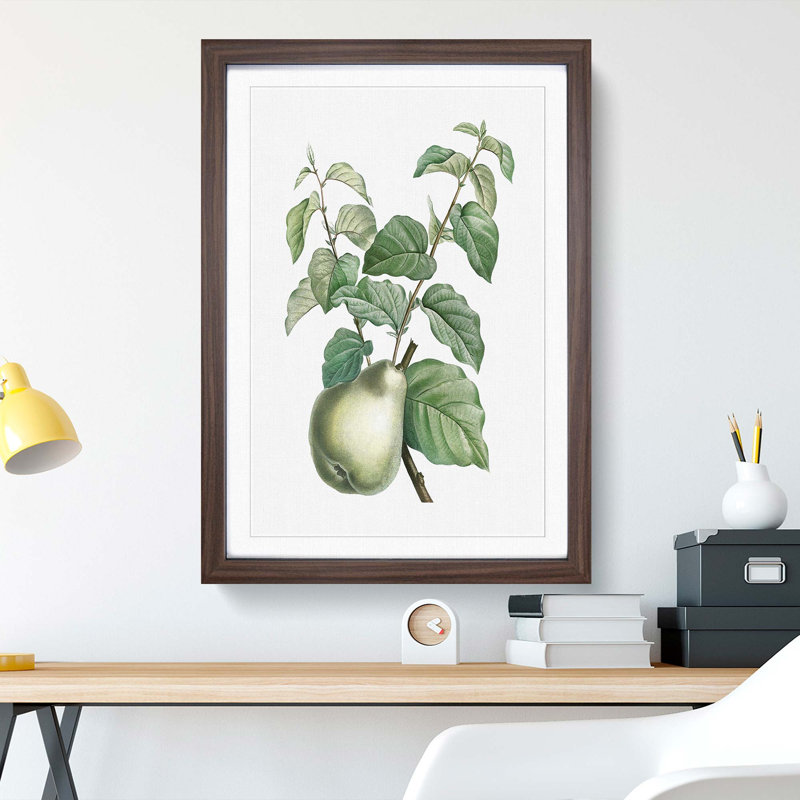 Pear Fruit by Pierre-Joseph Redoute - Picture Frame Painting Print, 36cm H x 27cm W x 2cm D, Walnut Framed