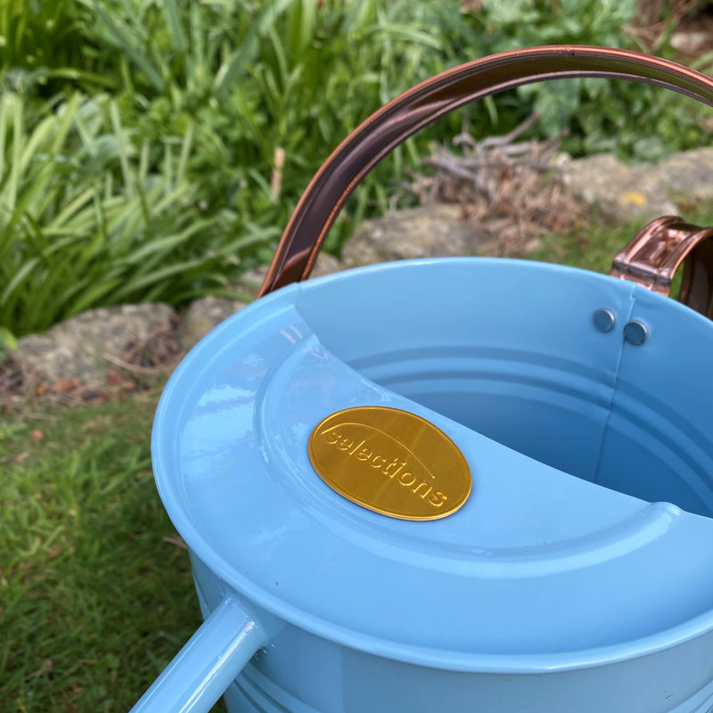 Metal Watering Can, Light Blue