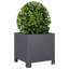Planter Box-108202635-104931243