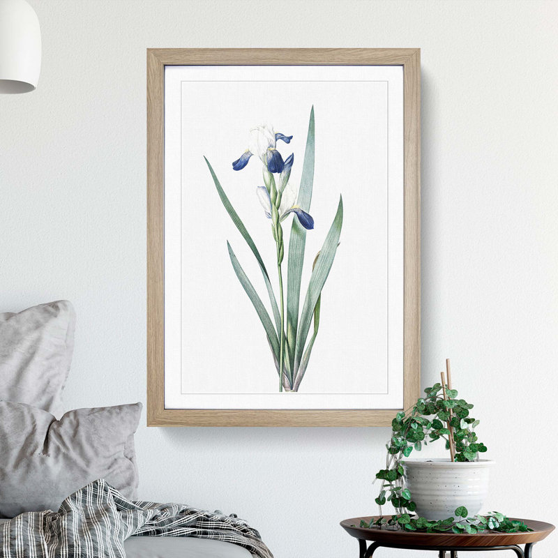 Tall-Bearded Iris Flowers by Pierre-Joseph Redoute - Picture Frame Art Print, Oak Framed, 48cm H x 36cm W x 2cm D
