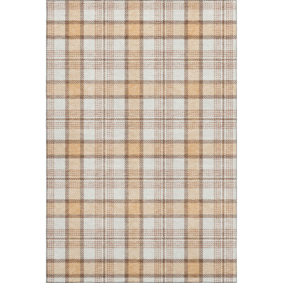 Premium Machine Washable Corum AMF1052 Plaid Rug
