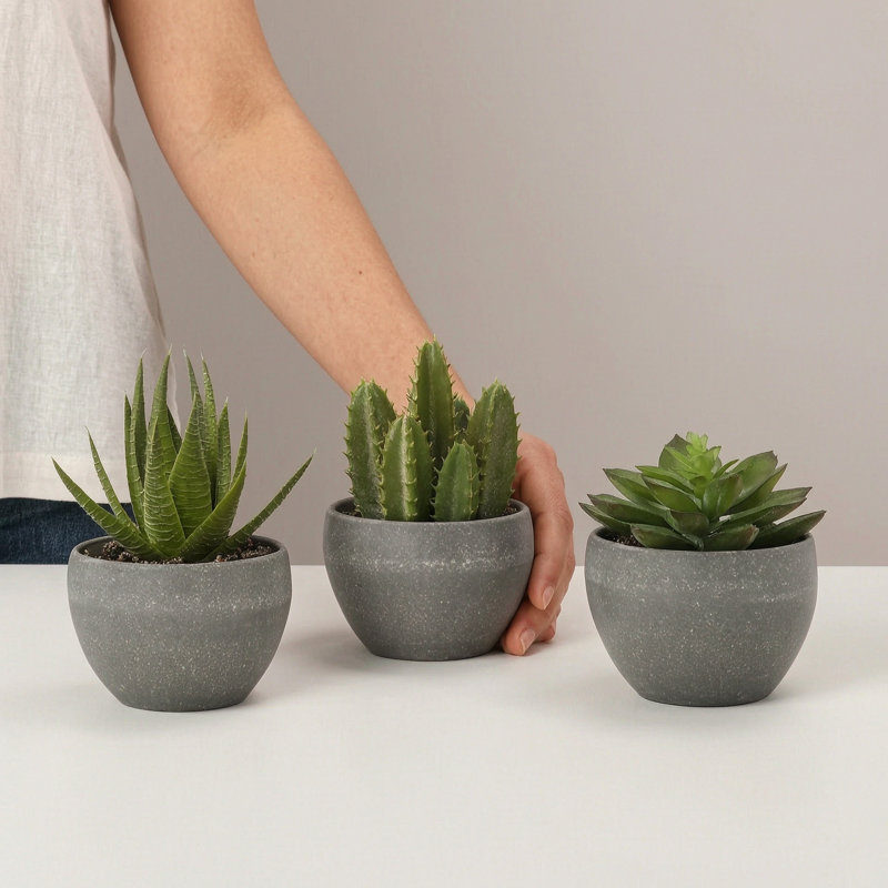 Ensemble de 3 plantes grasses artificielles de 5,7 po de hauteur en pots de ciment gris, décoration de table d'intérieur
