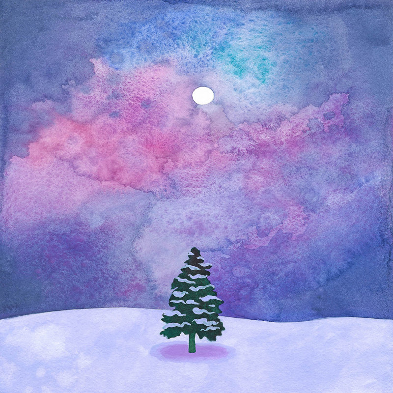 Ensemble de housse de couette en microfibre DiaNoche par Rachel Brown - Winter Tree