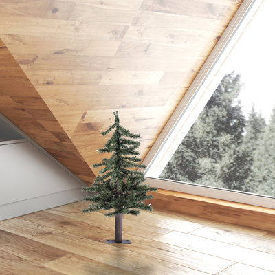 Arbre de Noël pin alpin