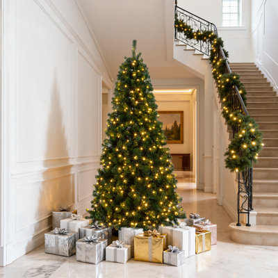 6' Lighted Pine Christmas Tree