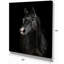 «Black Horse in Darkness», reproduction de photo sur toile tendue-29496064