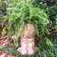 Statue de Muggly's Grumpy Gramps-1925864981-1925864984