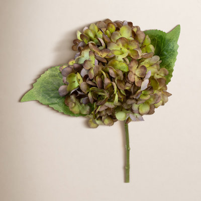 Hydrangea Floral Stems