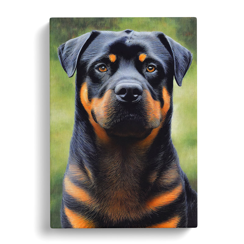 Rottweiler Vol.1 - Wrapped Canvas, 60cm H x 40cm W x 3cm D