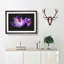 Purple Crocus Flower - Picture Frame Graphic Art Print-56861760-56861755