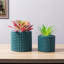 Pot Planter-1602334483