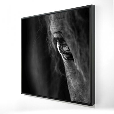 Cheval noir imprimé sur toile