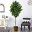 Ficus artificiel 78 po en pot