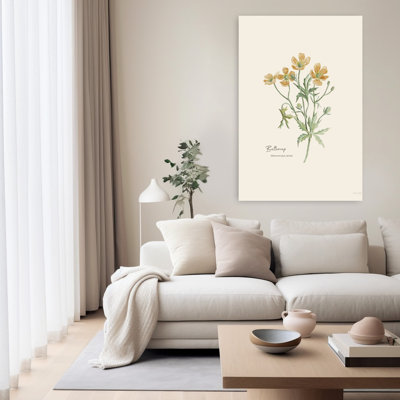 Buttercup Contemporary Buttercup Flower Art