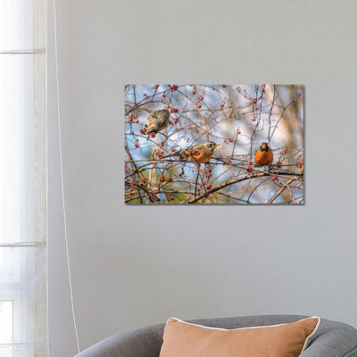 Spring Robins II by David Gardiner - Wrapped Canvas Print