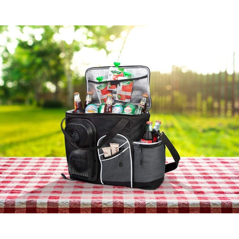Koolatron Europe 24.5L Freezer Pack in Black