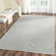 Evansdale Cotton Geometric Indoor Rug
