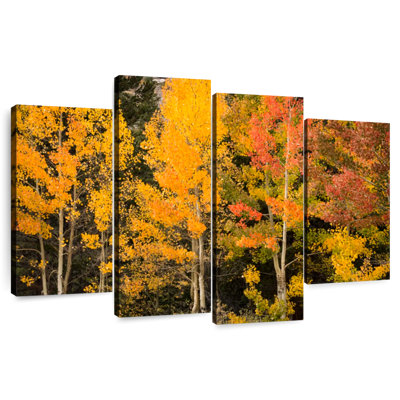 Harnek Aspen aux teintes d'automne