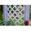 Planter Box-20659356