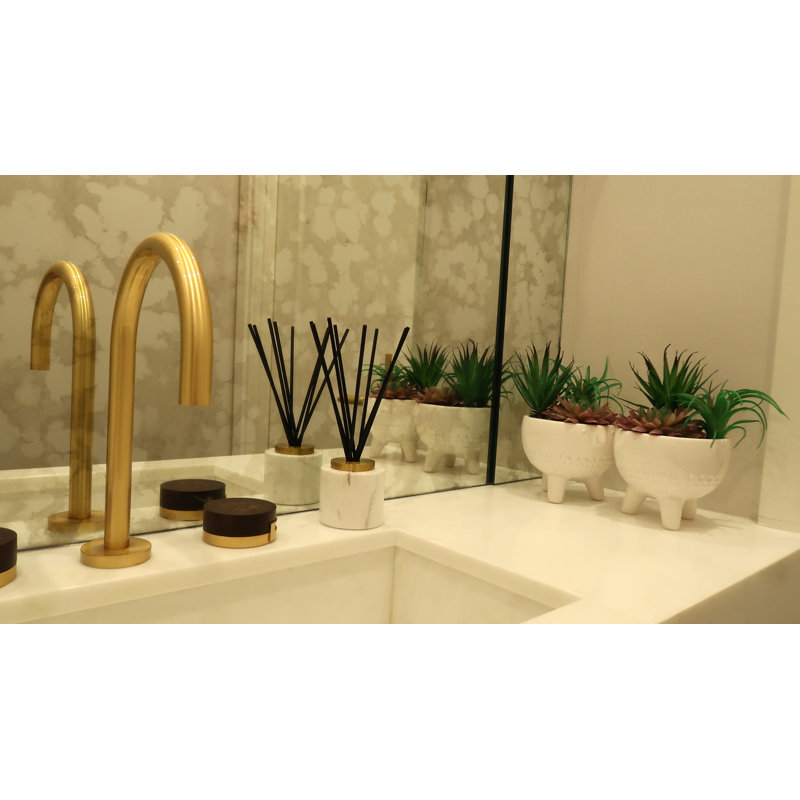 Plant / Floral Diffuser