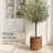 2-Piece Round Baskets-2026060939