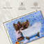 Chiens de bain moussant-1448772833