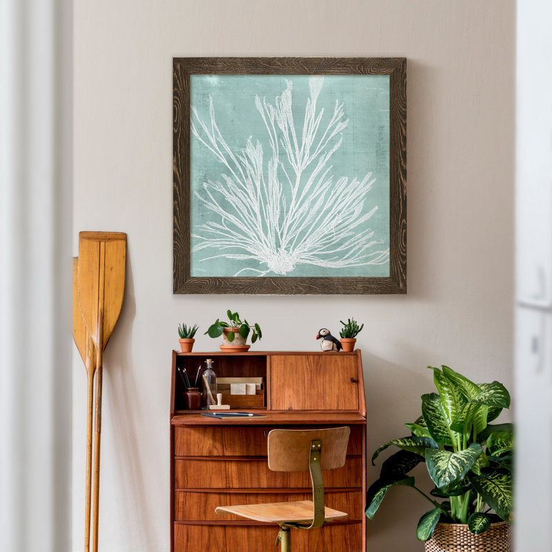 Algue sur Aqua IX-reproduction de photo sur toile encadrée, H 17 po x l 17 po x P 1,5 po, Toile avec cadre en noyer