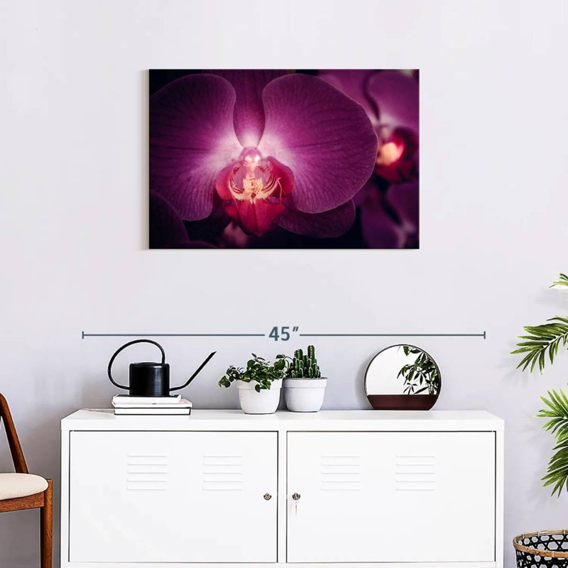 Harnek Purple Moth Orchid, 20" H x 30" W
