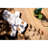 Vienna Outdoor Dining Table-43742470
